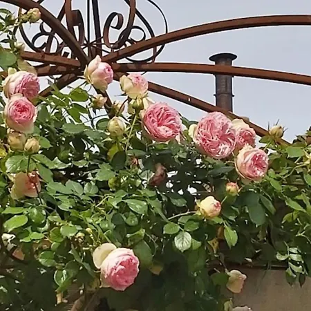 Vista Panoramica Giardino E Montagne * Magreglio