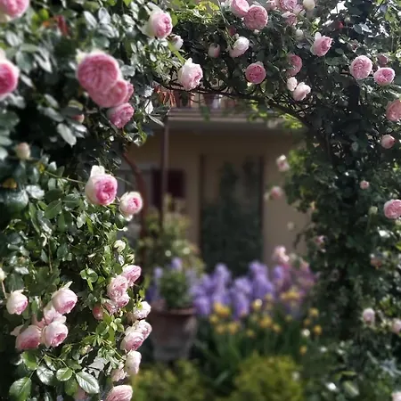 Vista Panoramica Giardino E Montagne *