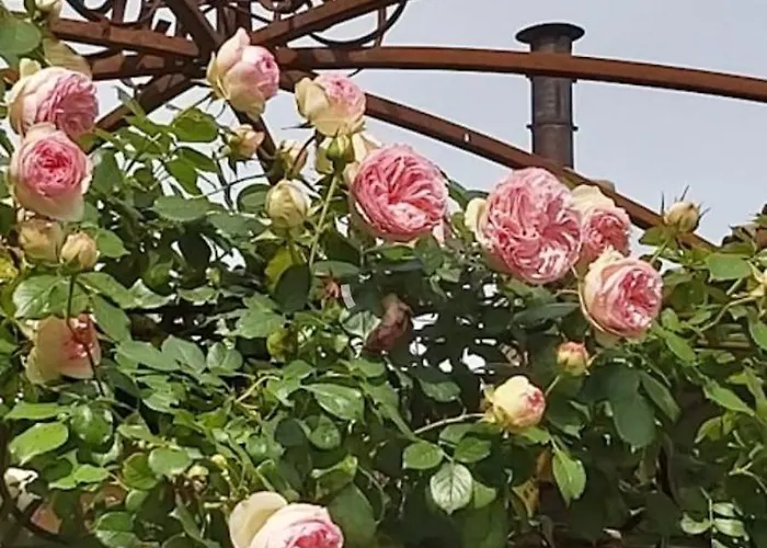 Vista Panoramica Giardino E Montagne * Magreglio