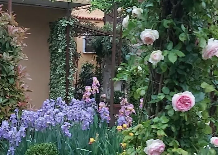 Apartamento Vista Panoramica Giardino E Montagne Magreglio