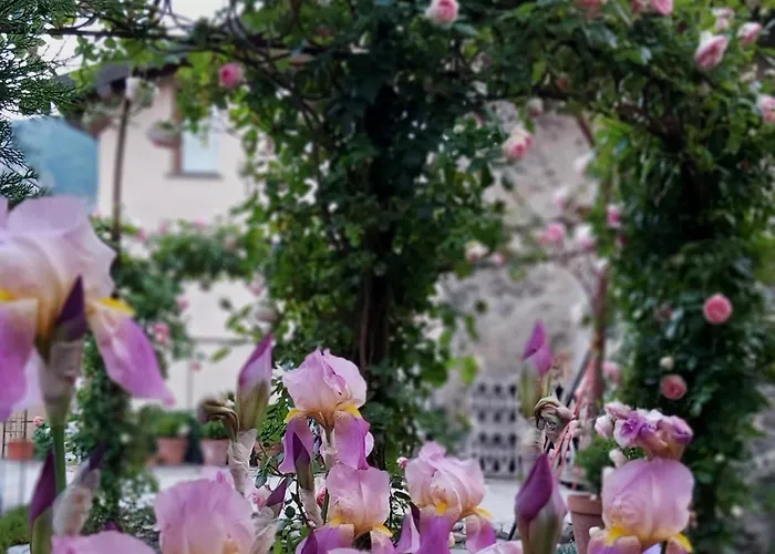 Vista Panoramica Giardino E Montagne * Magreglio