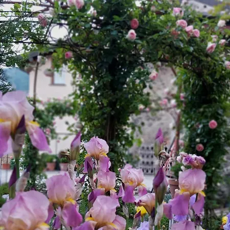 Vista Panoramica Giardino E Montagne * 마그레글리오